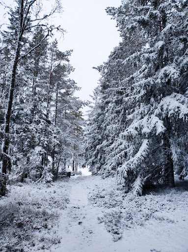 Isabergs naturreservat - Thumbnail