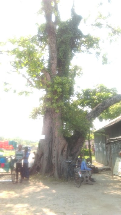 Photos of Kushtia Boro Station