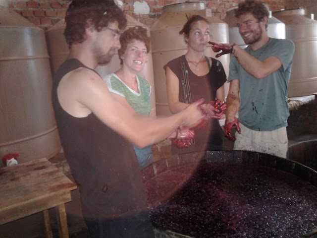 Hostería - Bodega Valle D'Vino by null