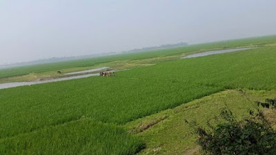 Photos of Noa Bari Jame Mosjid