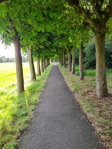 Cintra Park - Thumbnail