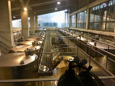 Photos of Chateau Mukhrani Winery