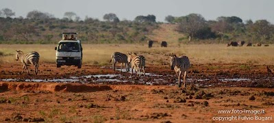Photos of Tsavo Mashariki Camp