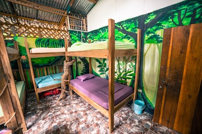 Photos of Oasis beachfront Hostel