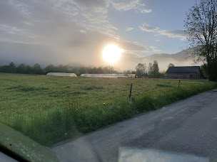 Photo n°19 de Vente direct legumes bio le jardin de andi à Massat (Ferme)