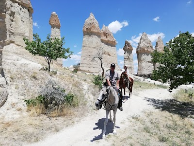 Akhal Teke Horse Center: Horse Riding Cappadocia