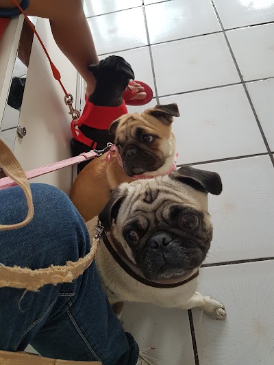 Photos of SERVICIOS VETERINARIOS INTEGRADOS