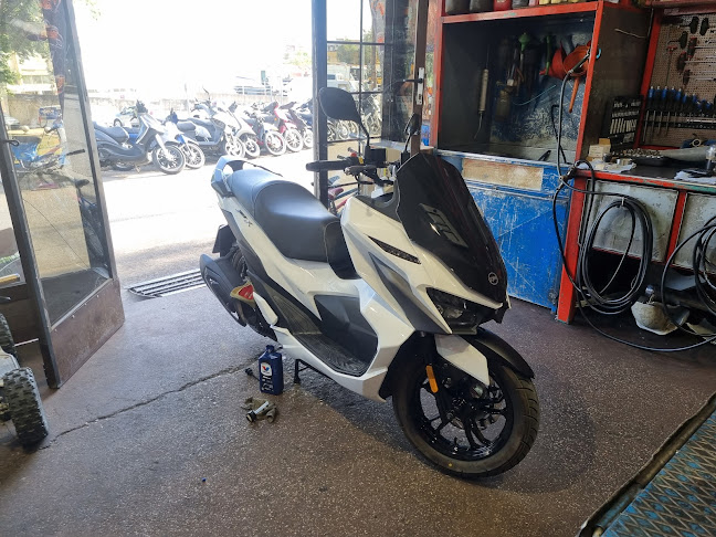 Moto Louis ΚΡΟΚΙΔΑΣ ΛΕΩΝΙΔΑΣ - Ναύπακτος