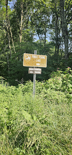 Brumely Mountain Trailhead - Thumbnail