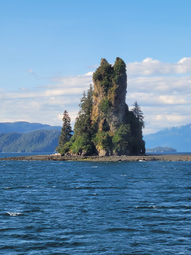 Allen Marine Tours