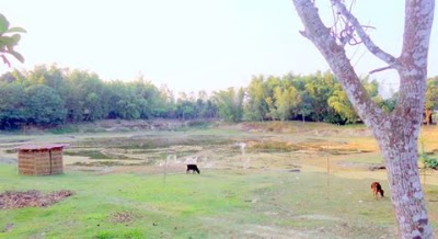 Photos of Abar Pukur - আবার পুকুর