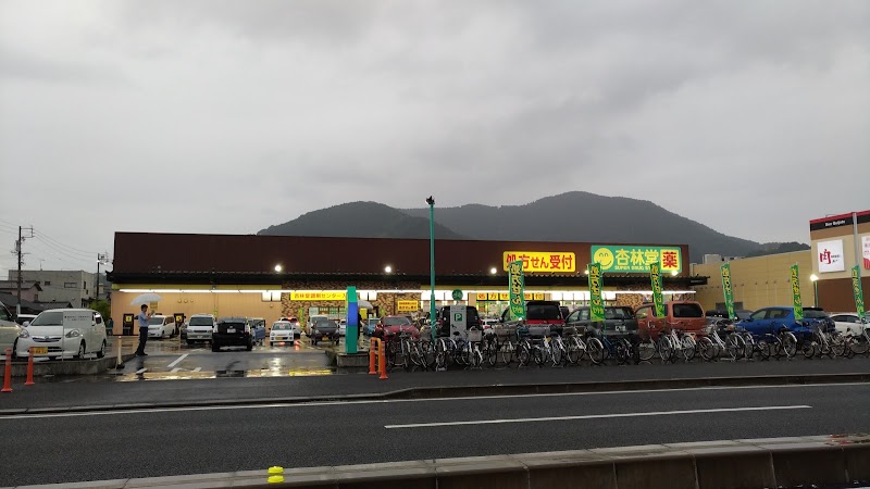 杏林堂薬局 静岡山崎店 静岡県静岡市山崎 ドラッグ ストア 医療機関