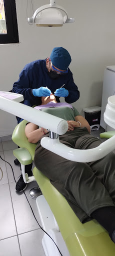 Dentin - Thumbnail
