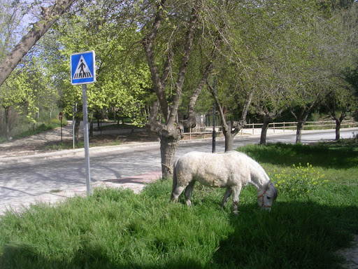 Quebradas Park - Visual
