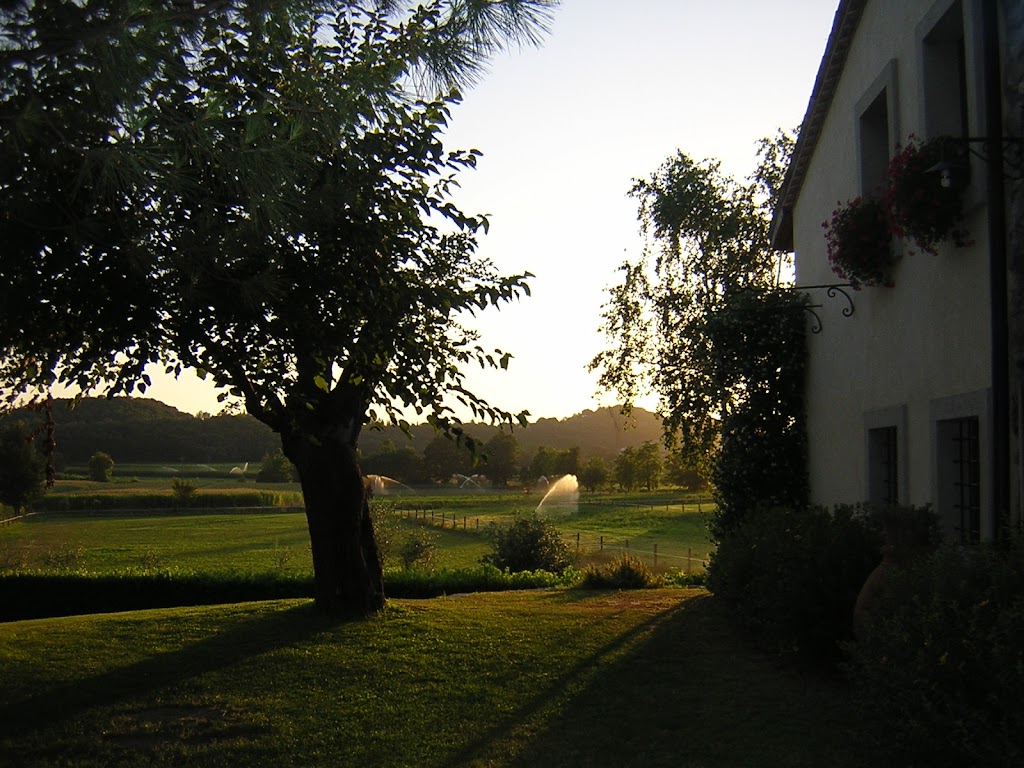Sant Chorizo