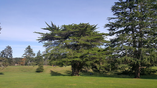 Te Awa Park - Thumbnail
