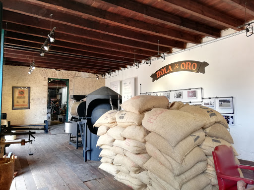 Finca Roma Bola De Oro