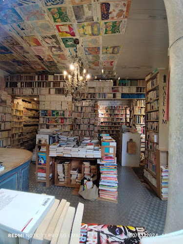 Avis sur Librairie Ancienne et Moderne Frérot à Caen - Librairie