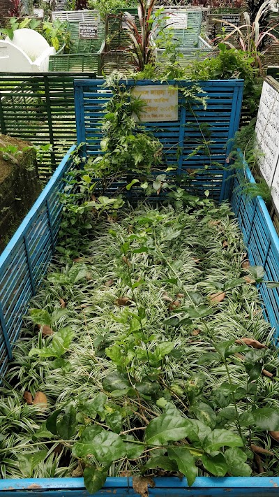 Photos of Sector 4 Graveyard