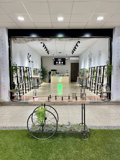 NATURA CBD STORE - Thumbnail