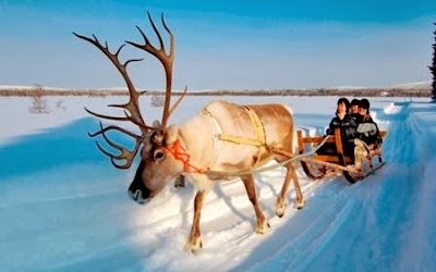 Photos of NORTH and AWAY - Travel Expert for the Nordic Countries