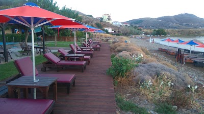 Photos of &Pi;&alpha;&rho;&alpha; &theta;&iota;&nu; &alpha;&lambda;&omicron;&sigmaf; / Para Thin Alos