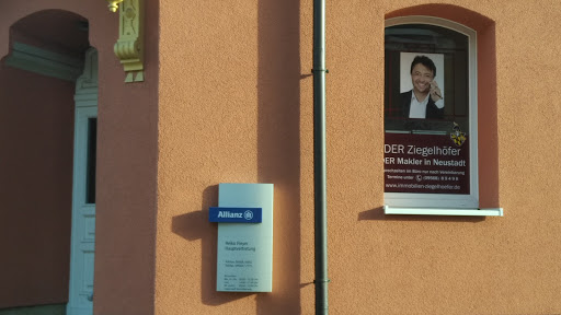 DER Ziegelhöfer - Visual