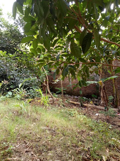 Photos of Rorojonggrang Art