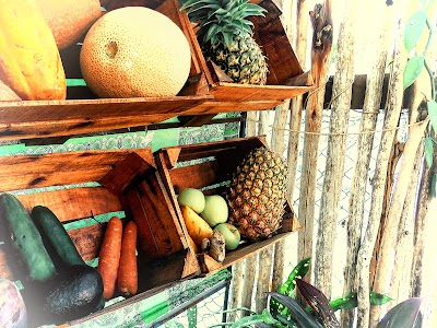 Photos of Mercado Tetitl&aacute;n