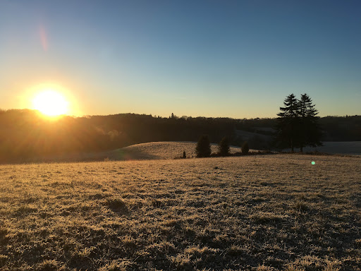 Photo de L'atelier de Marie à Saint-Pardoux-la-Rivière (24470)
