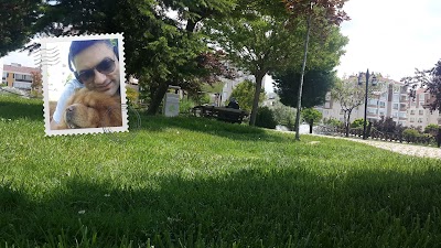 Photos of G&ouml;let Taksi Durağı