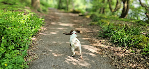 Eastham Woods Country Park