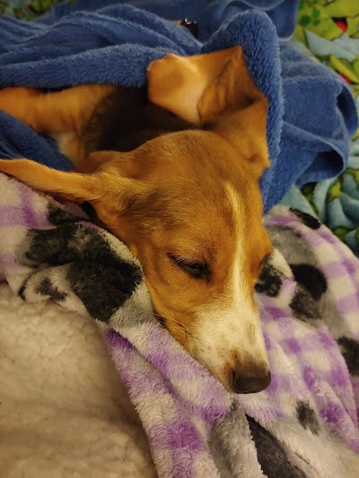 Southern Oklahoma Veterinary Center