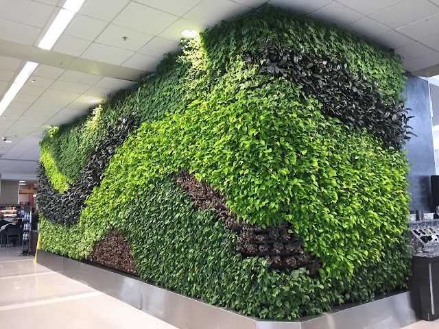 Detroit Metropolitan Airport- McNamara Terminal