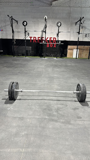 Treeker Box - Visual