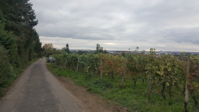 Photos of A.T.U Wiesbaden - Dotzheim