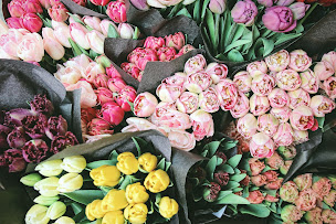 Photo n°3 de Ô Fleurs de Nath à Caen (Service de plantes d'intérieur)