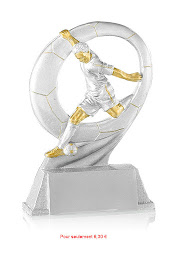 Photo n°4 de trophées-francilien à Tournan-en-Brie (Magasin de trophées)