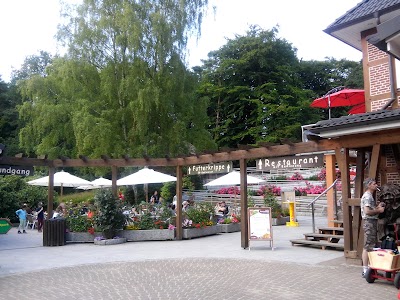 Photos of Wildpark Schwarze Berge