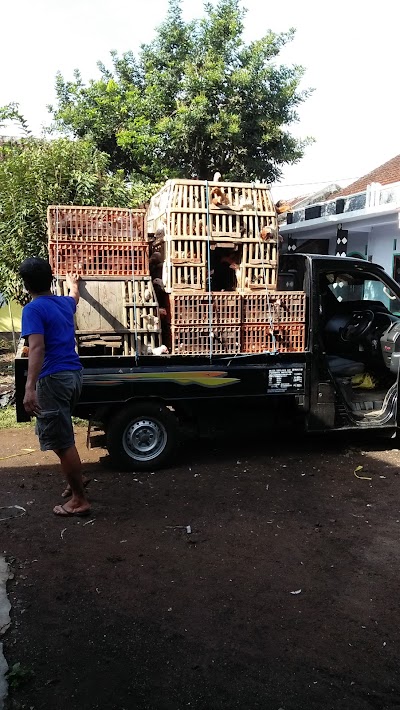 Photos of TPU (tempat pemakaman umum) Desa Gambirono