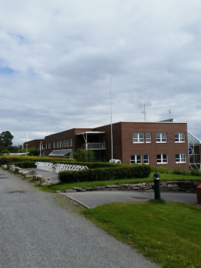 university