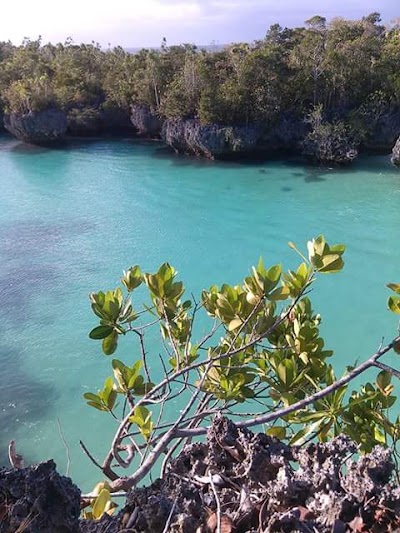 Photos of Pulau Rowa