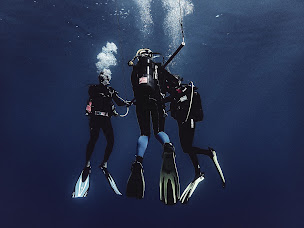 Photo n°12 de Dollfin Centre Ecole Plongée à Sisco (Complexe sportif)