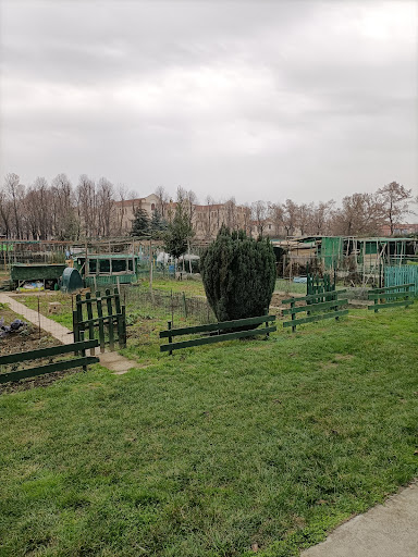 Ristorazione Sociale di Alessandria - Thumbnail
