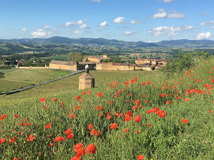 Photo n°24 de Kanpai Tours - Wine Tours, Wine-tastings, Private tours Lyon, Lyon private guide à Lyon (Service de transport et d'accompagnement)