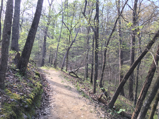 Sylaward Trail at Lake Howard - Thumbnail