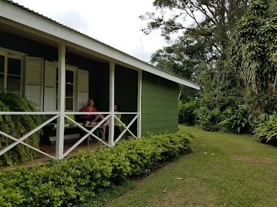 Photos of Los Titos Coffee Farm