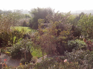 Photo n°11 de Le jardin des violettes à Mahéru (Jardin botanique)