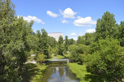 Photos of Ilva