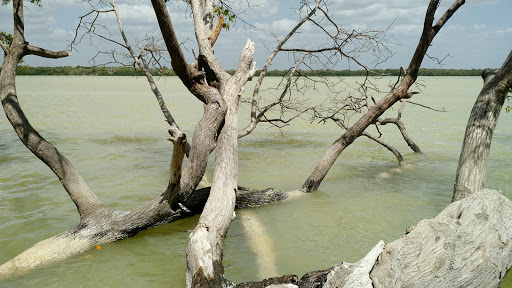 Punta Lastre - Visual